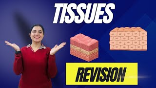 Class 9 Tissues Revision  Understanding Plant amp Animal Tissues BioRevision Class9 youtube [upl. by Tomaso]