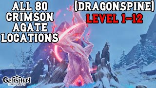 All 80 Crimson Agate Locations  Level 112 Dragonspine  Genshin Impact [upl. by Ahseym]