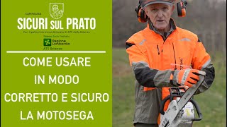 Come usare in modo corretto e sicuro la MOTOSEGA  CONSIGLI PER GIARDINIERI [upl. by Svend]