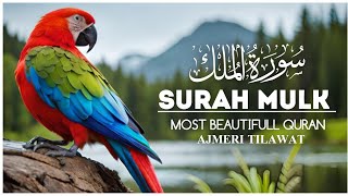 Surah Mulk  سورہ ملک  सूरह मुल्क 87 Beautiful Quran Recitation [upl. by Einatsed]