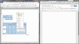 SPSS Output to gDocs [upl. by Aisayn476]