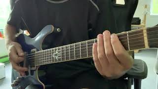 WBTBWB  20kmh guitar cover [upl. by Ylellan]