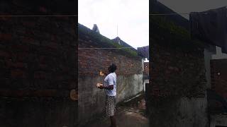 Jai ambe gauri bhakti songmonkey bandar funny videomonkey bandar song shorts [upl. by Nahsed]