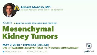 Mesenchymal kidney tumors  Dr Matoso Hopkins GUPATH [upl. by Liek]