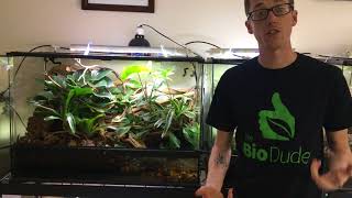 How to maintain your Terra Flora Bioactive Terrarium [upl. by Sudderth534]