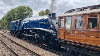 BLUEBELL RAILWAY giants of steam 2024 [upl. by Riccio]