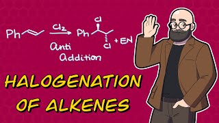 Halogenation of Alkenes  Mechanism  Stereochemistry  Examples [upl. by Pfaff608]