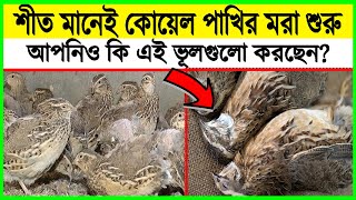 শীতের শুরুতে কোয়েল খামারে কেনো বিপদজ্জনক অবস্থা  Quail Farming  Koyel pakhi palon [upl. by Krysta]