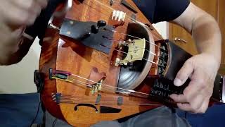 Reverse Dance Live Stream 240823 HurdyGurdy [upl. by Pelligrini]