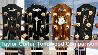 Rosewood Vs Cocobolo Vs Brazilian Vs Bocote｜Taylor Guitar Comparison [upl. by Campbell]