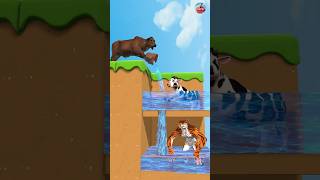 Take The Water Challenge Cow vs Tiger Wolf shorts cow tiger cartoonanimals [upl. by Asilanom]