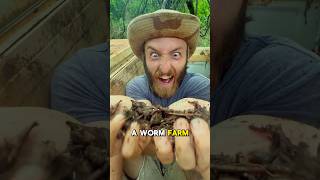 So I started a WORM FARM 🪱 Part 5 shorts fishing worms [upl. by Yelsel54]