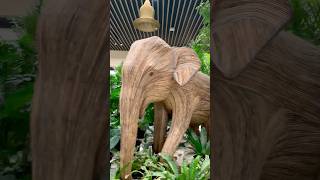 Lantana Elephants in Bangalore  Weed into Craft  Lantana Camara [upl. by Dnana235]