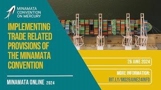 Minamata Online 4 Implementing trade related provisions of the Minamata Convention [upl. by Slack]