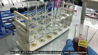 DPPH Anti Oxidant Assay  TEST amp IC50 CALCULATION [upl. by Suh]