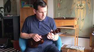 Timms vs Martin  A Soprano Ukulele Comparison [upl. by Jordain]