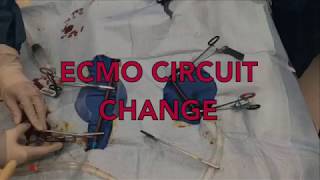 ECMO Circuit Change [upl. by Virginie]