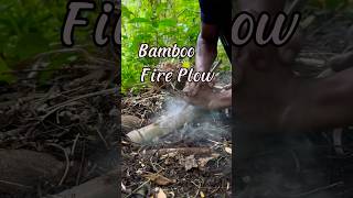 Fire plow in the interior forest firemaking [upl. by Garnet]