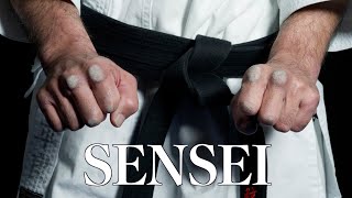 Sensei Masters of Okinawan Karate  Series One Highlights [upl. by Odnomra]