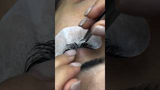 Lash Filllashing lashes beautifullashes lashextensions lashing eyelashextensions eyelashes [upl. by Ynnaffit]