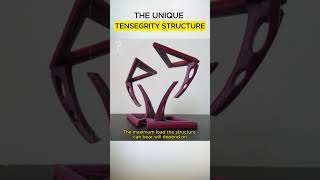 THE UNIQUE TENSEGRITY STRUCTURE [upl. by Webber702]