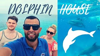 Swimming With DOLPHINS Hurghada Dolphin House Excursion  Vlog [upl. by Bidget]