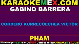 karaoke el coyote y su banda  gabino barrera [upl. by Hsemin948]