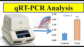 Analyzing real time PCR data [upl. by Llimaj]