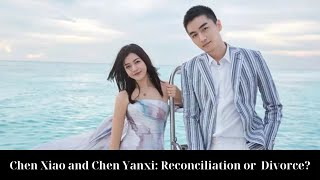 Chen Xiao and Chen Yanxi A Marriage at a Crossroads – Reconciliation or Inevitable Divorce [upl. by Ashmead]