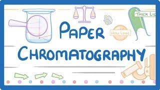 GCSE Chemistry  Paper Chromatography 63 [upl. by Rratsal]