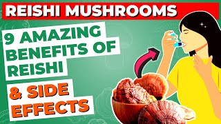 9 Health Benefits of Reishi Mushroom amp Side Effects [upl. by Enneicul226]