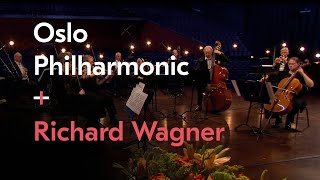 Siegfried Idyll  Richard Wagner  Elise Båtnes  Oslo Phiharmonic [upl. by Aztiley]