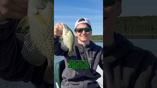 You NEED To Be Crappie Fishing With MINNOWS shorts fishing [upl. by Gard]