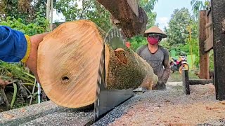 GERGAJI KAYU JATI PUTIH  GMELINA MAHONI  MESIN SERKEL RAKITAN [upl. by Ayalahs]