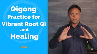 Qigong Practice for Vibrant Root Qi and healing [upl. by Rozella509]