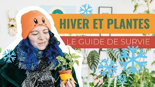 🪴Comment soccuper des plantes dintérieur en hiver  🥶 [upl. by Holna]