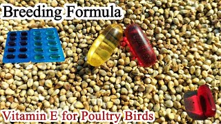 Evion Capsule for Chickens  Poultry Birds Breeding Formula  Dr ARSHAD [upl. by Kamin]