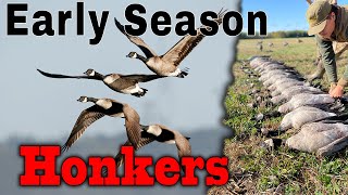 Early Season Canada Goose Hunting  Northern Minnesota [upl. by Chimene]