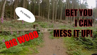 Big Wood MTB [upl. by Ahsoem]