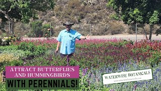 Perennial Destination Waterwise Botanicals [upl. by Iaht465]