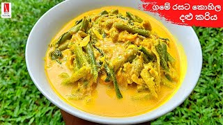 ගමේ රසට කොහිල දළු කරිය  Lasia Shoots Curry  Kohila Dalu Curry  Kohila Dalu Kariya [upl. by Konstanze]