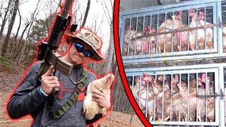 I RESCUED POW CHICKENS Hostage Situation [upl. by Audwen]