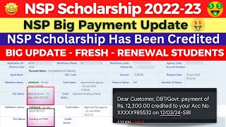 NSP Scholarship 202223 Big Payment Update  NSP Scholarship Has Been Credited  Watch Now [upl. by Mortimer872]