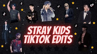 SKZ TIKTOK EDITS THAT WILL MAKE YOU A PROUD STAY 50 MIN EDITION 10K SPECIAL [upl. by Ellessig]