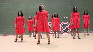 DELTA SIGMA THETA PROBATE 2018 [upl. by Perzan592]