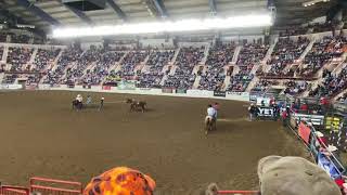 Rodeo at the Pennsylvania Farm Show  1420 [upl. by Aretta]