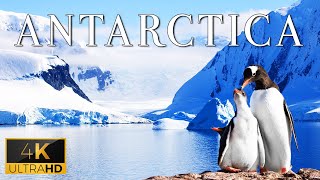 FLYING OVER ANTARCTICA 4K UHD  Calm Music With Stunning Beautiful Nature 4K Video Ultra HD [upl. by Dodwell234]