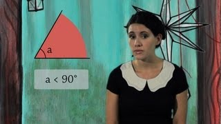 What are acute angles Geometry Terms and Definitions [upl. by Rubia]