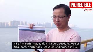 Rare Tidal Phenomenon in China Many Tides Meet Intersect amp Cross incredibleThings [upl. by Fabrianne586]