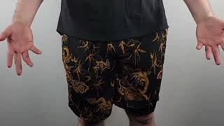 Mens Style amp Function Mens Dragon Swim Shorts Review [upl. by Lawan]